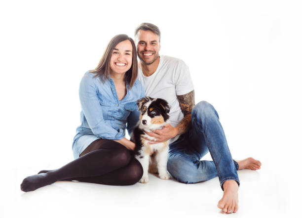 istock Handsome couple with her Australian Berger puppy on studio 1397915675