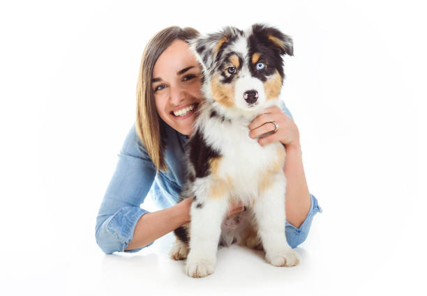istock Handsome female with her Australian Berger puppy on studio 1397915983