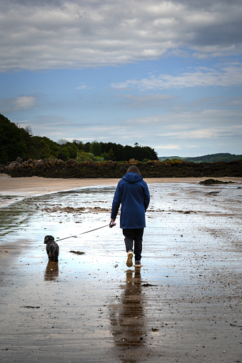 Rear view of a woman walking a Lhasa Apso dog on a beach in Scotland on an overcast spring day