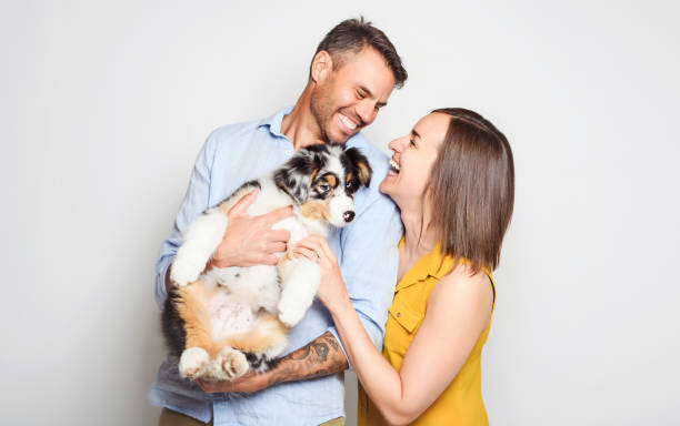 istock Handsome couple with her Australian Berger puppy on studio 1397916465
