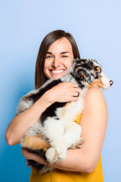 istock Handsome female with her Australian Berger puppy on studio blue background 1397916501