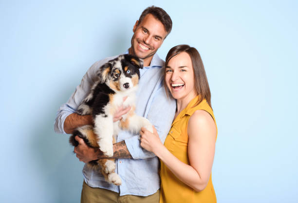 istock Handsome couple with her Australian Berger puppy on studio 1397916632