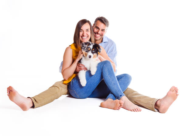 istock Handsome couple with her Australian Berger puppy on studio 1397916651