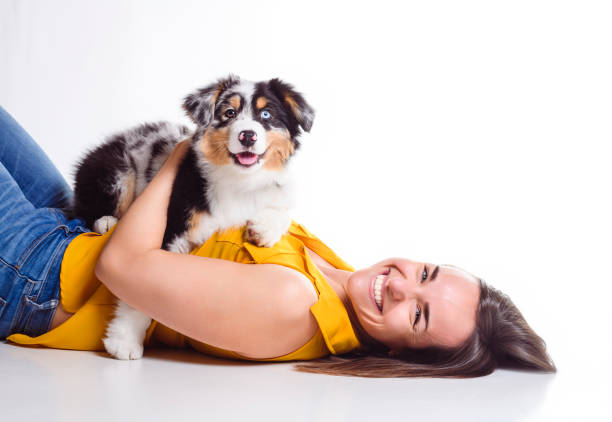 istock Handsome female with her Australian Berger puppy on studio 1397916678