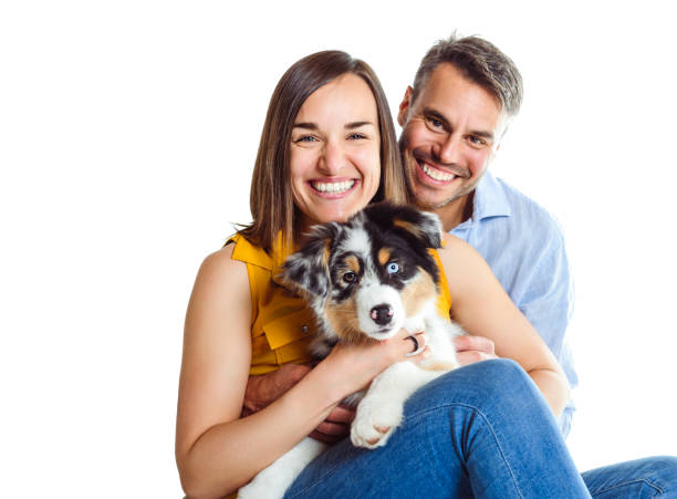 istock Handsome couple with her Australian Berger puppy on studio 1397916684
