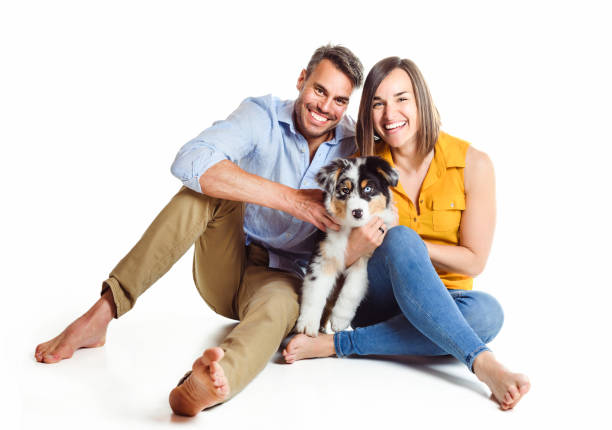 istock Handsome couple with her Australian Berger puppy on studio 1397916691
