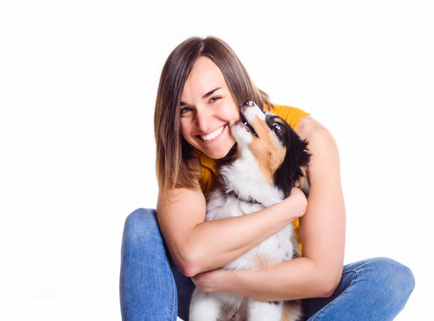 istock Handsome female with her Australian Berger puppy on studio 1397916747