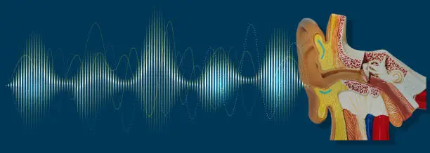 Photo of Anatomical model of human ear with luminous sound wave on blue background showing variety of sounds going to ear and sound quality. Auditory health