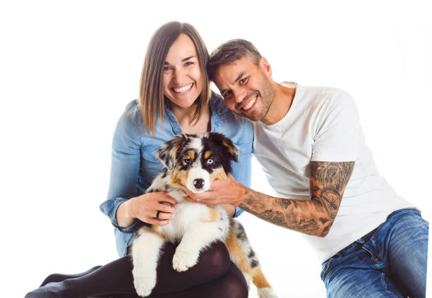 istock Handsome couple with her Australian Berger puppy on studio 1397917752
