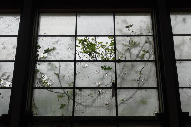 istock fragments of nature 1397918000