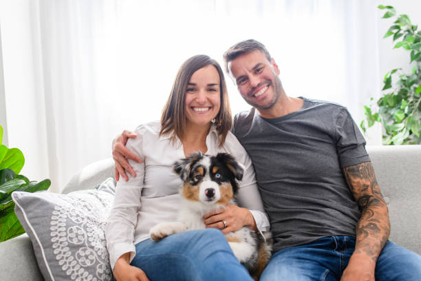 istock Handsome couple with her Australian Berger puppy on sofa 1397918147