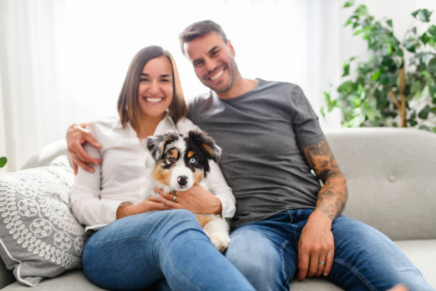 istock Handsome couple with her Australian Berger puppy on sofa 1397918158