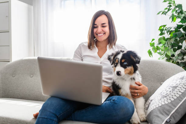 istock Handsome female with her Australian Berger puppy on sofa 1397918172