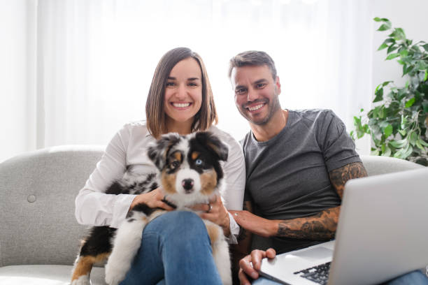 Handsome couple with her Australian Berger puppy on sofa with laptop A Handsome couple with her Australian Berger puppy on sofa with laptop berger australien bebe stock pictures, royalty-free photos & images