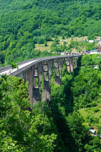 istock Durdevica Tara Bridge.  Montenegro. 1397918717
