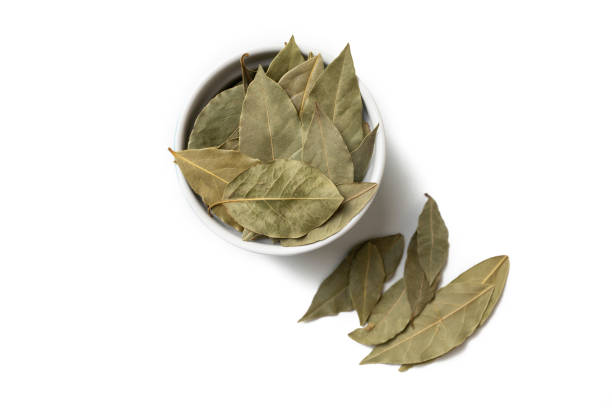 istock Bay leaf traditional spice of classical cooking 1397919823