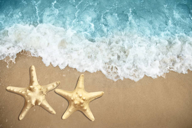 istock Beautiful waves and sea stars on sandy beach, top view 1397924328