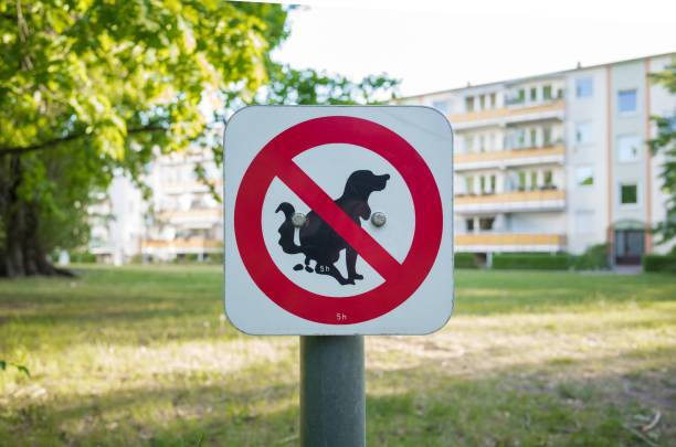 istock prohibition sign - Defecating prohibited for dogs 1397925155