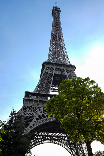 eiffel tower in paris under blue sky and framed by trees