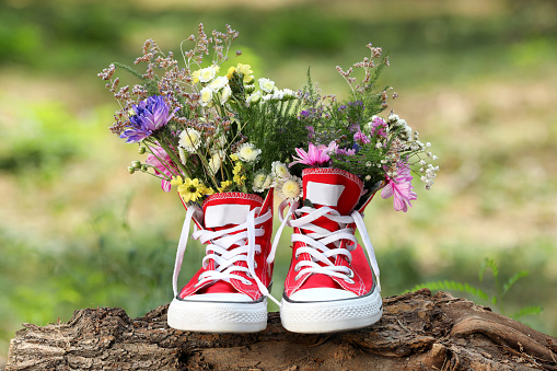 natural background with green grass and pink flowers, view from the top with sport pink shoes