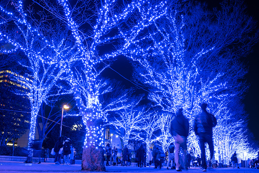 Tokyo, Japan - December 28, 2016: Winter illumination event called Blue Cave at Yoyogi Park in Shibuya.