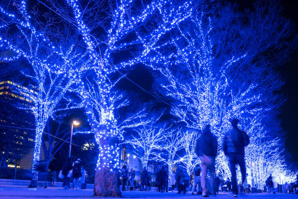 People enjoying Winter illumination event called Blue Cave in Shibuya stock photo