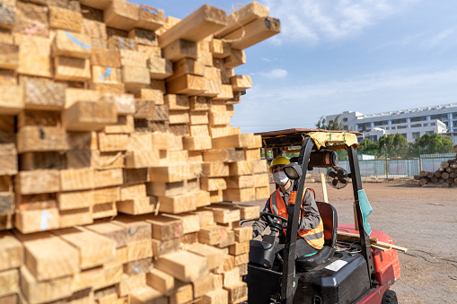 A female driver is driving a forklift to load and unload wood