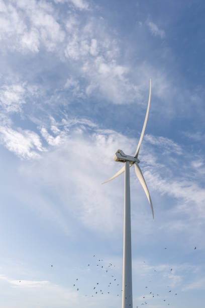istock Wind turbines and birds under blue sky and white clouds 1397930701