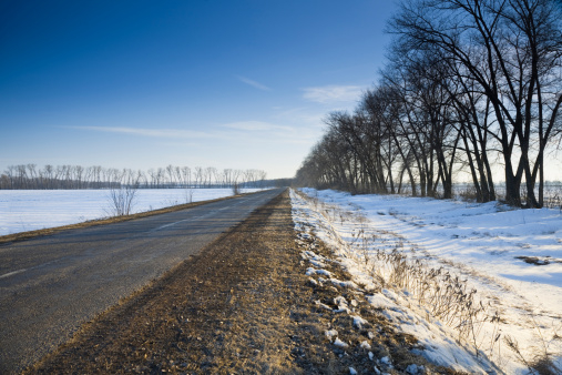 Country road in winter among the fields and rows of trees