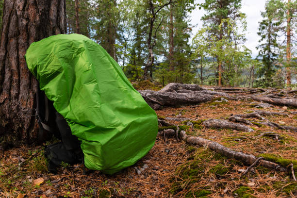 istock Hiking backpack with green rain cover in forest 1397934707