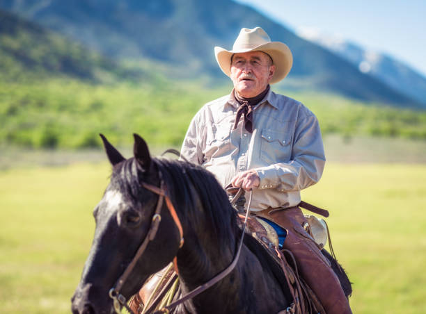 старший американский cowboy - trail ride стоковые фото и изображения