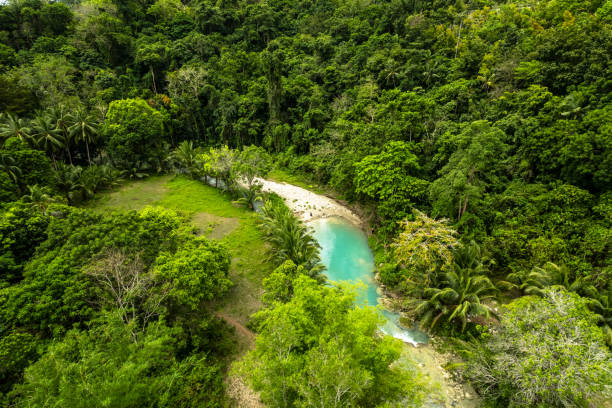 Beautiful river passing through in the jungle Beautiful river passing through in the jungle with coconut palms
Cambugahay Falls, Siquijor, The Philippines siquijor stock pictures, royalty-free photos & images