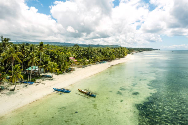Aerial view of a beautiful beach on Siquijor island Philippines Aerial view of a beautiful beach on Siquijor island Philippines siquijor stock pictures, royalty-free photos & images