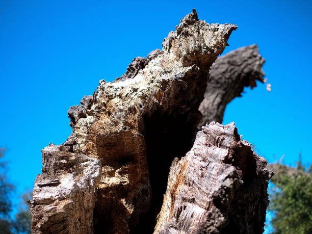 Big Rock in Topanga State Park