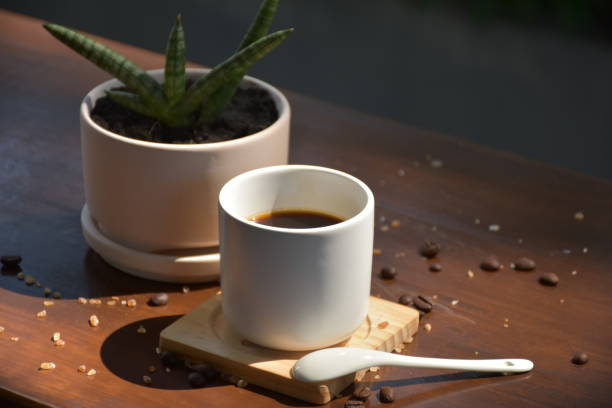 istock espresso coffee in white mug with snake plant 1397936403