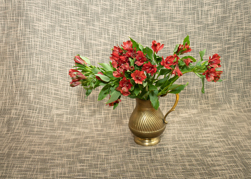Bouquet of Alstroemeria psittacina in metal copper vase with textile background
