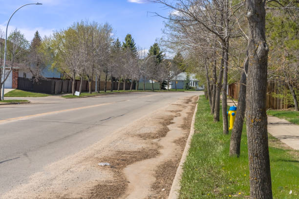 Sand and dirt on urban road in spring season stock photo