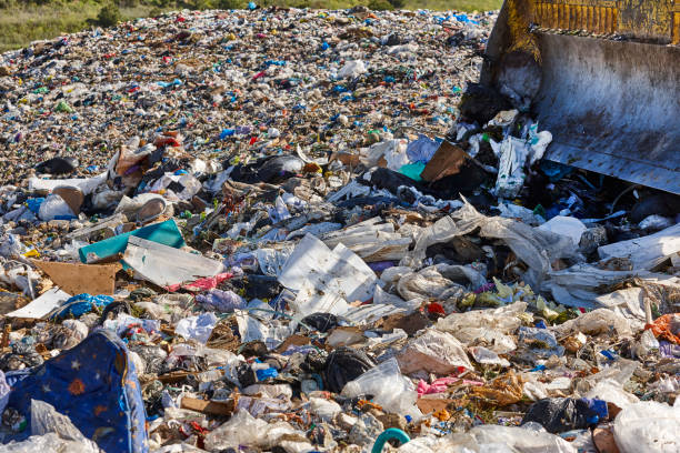 istock Heavy machinery shredding garbage in an open air landfill. Pollution 1397937485