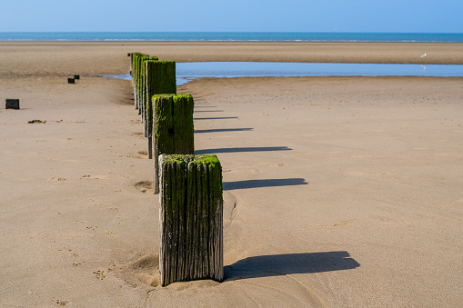 wooden sea defense groynes buried in the sand on the beach