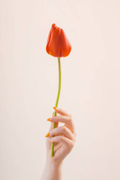 female hand with manicure with flower on white background