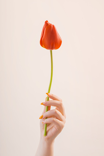 female hand with manicure with flower on white background