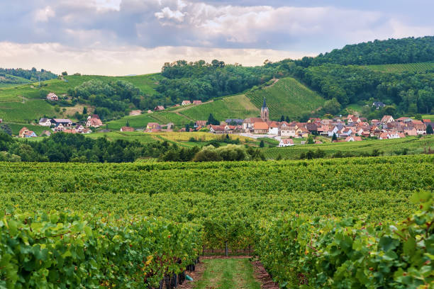 istock Landscape in Alsace, France 1397942134