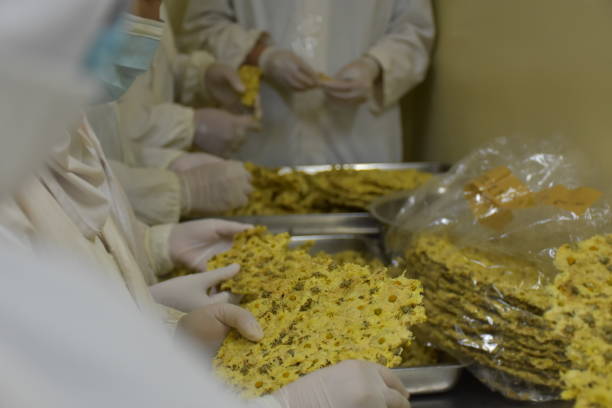 Close up scene. Food factory workers in production line.