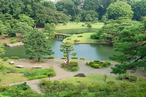 japanese garden red bridge and pond, public park in tokyo