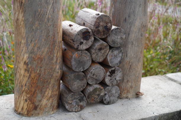 istock Old wood stock photo 1397947979