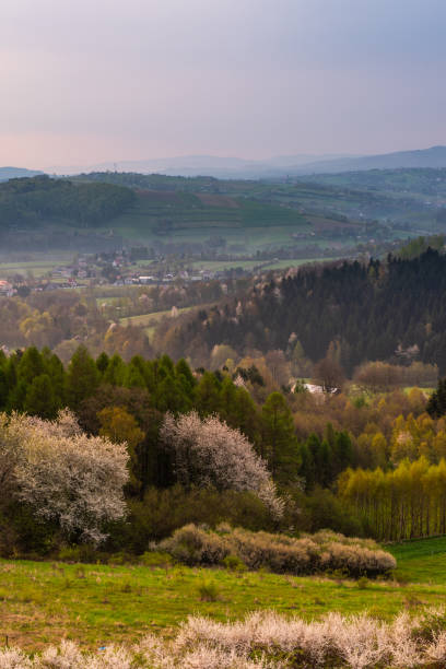 istock Misty Sunrise at Rural Countryside at Spring 1397949338
