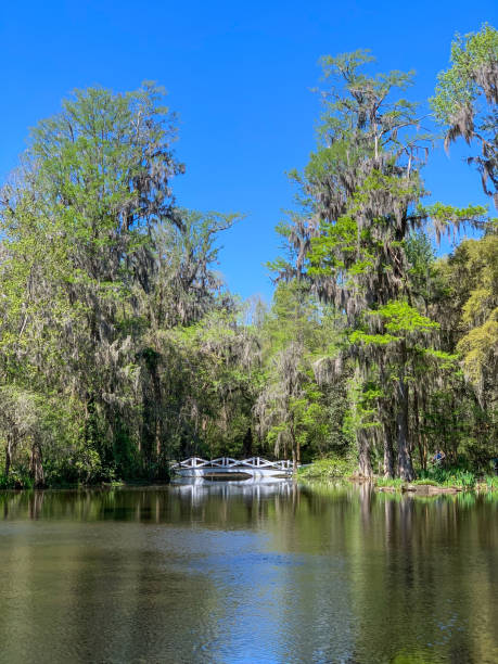 istock White footbridge reflected in tranquil water 1397950369