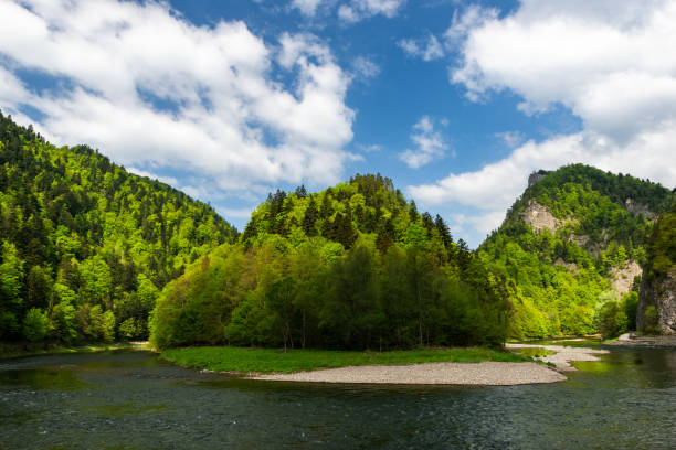 Dunajec River in Pieniny National Park in Poland at Spring.Pieniny Mountains Landscape in Poland at Spring.