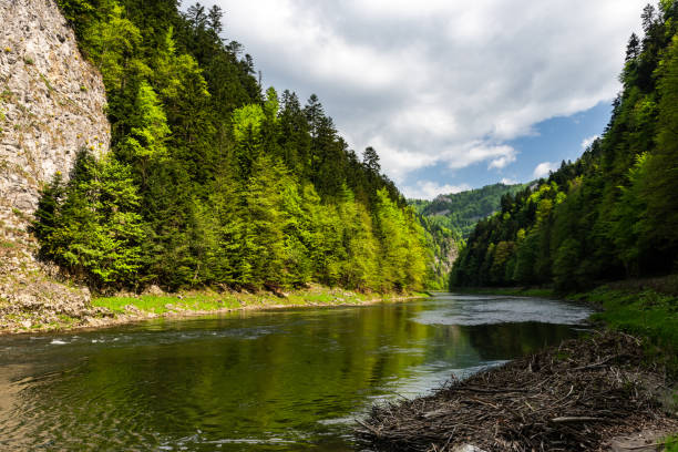 Dunajec River in Pieniny National Park in Poland at Spring.Pieniny Mountains Landscape in Poland at Spring.