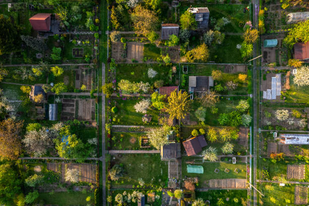istock Urban Plot Gardens at Spring. City Landscape in Tarnow Poland. Drone View 1397953609